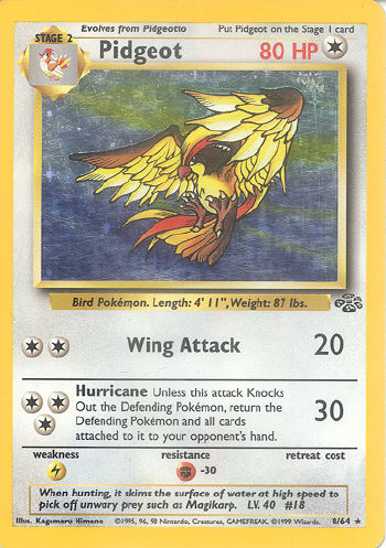 pidgeot8_jungle.jpg
