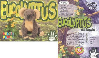 Eucalyptus Card