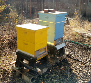 Yellow: Swarm from Santa Ynez (28 feb);  Blue: Last remaining remnants from Jeremy Rose