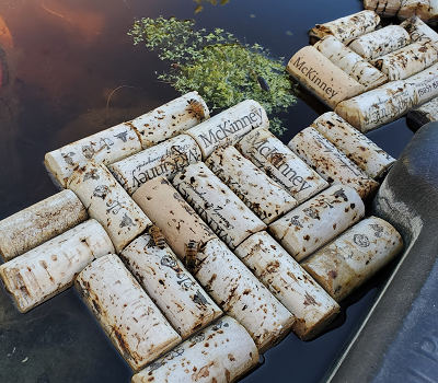 bees on wine corks, drinking water (McKinney winery)