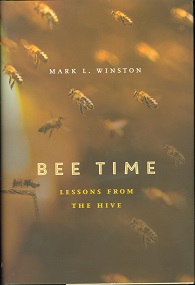 Bee Time - Lessons From The Hive