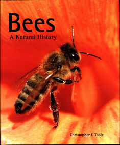 Bees -- A Natural History