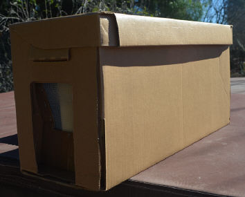 Nuc Box, Cardboard 5-frame