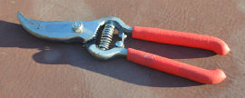 Clippers, small