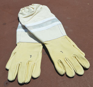 long leather gloves