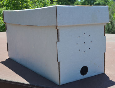 Nuc Box, Cardboard (5-frame)