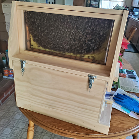 Observation Hive