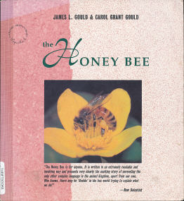 The Honey Bee