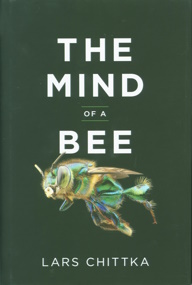 The Mind Of A Bee