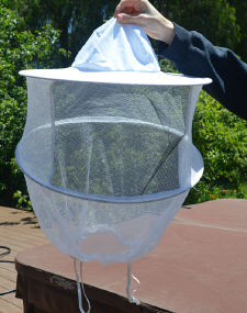 Veil