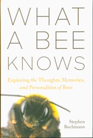 What A Bee Knows