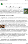 Honey Bees in Los Angeles - Africanized Honey Bees