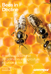 Bees in Decline