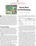 Honey Bees and Beekeeping