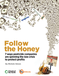 Follow The Honey