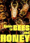 Guide to Bees and Honey