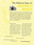 The Different Types of Honey Bees