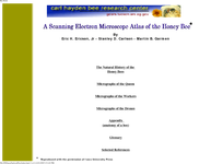 A Scanning Electron Microscope Atlas of the Honey Bee
