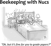 Beekeeping with Nucs