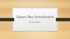 Queen Bee Introduction
