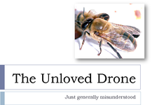 The Unloved Drone