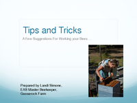 Tips and Tricks - A Few Suggestions For Working your Bees