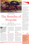 The Benefits of Propolis