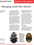 Managing Small Hive Beetles