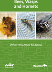 Bees,Wasps and Hornets