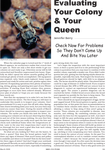 Evaluating Your Colony & Your Queen
