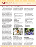 Races of Honey Bees in North America
