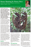 House Hunting by Honey Bees