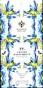 Harper Macaw - 77% Amazon Rainforest - Tomé Açu