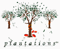 Vintage Plantations
