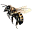 Los Olivos Honey Bees