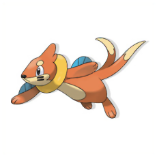 Buizel