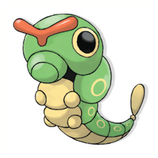 Caterpie