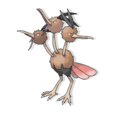 Dodrio