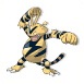 Electabuzz - (Kanto)