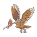 Fearow - (Kanto)