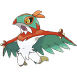 Hawlucha - (Kalos)