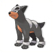 Houndour - (Johto)