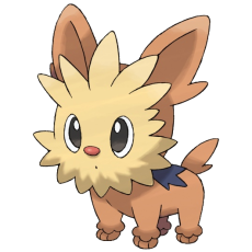 Lillipup