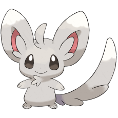 Minccino