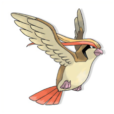 Pidgeot