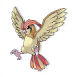 Pidgeotto - (Kanto)