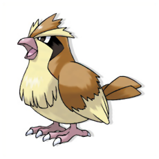 Pidgey