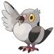 Pidove - (Unova)