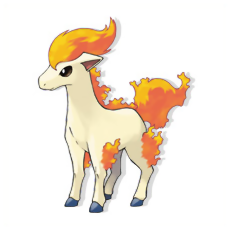 Ponyta