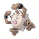 Primeape - (Kanto)